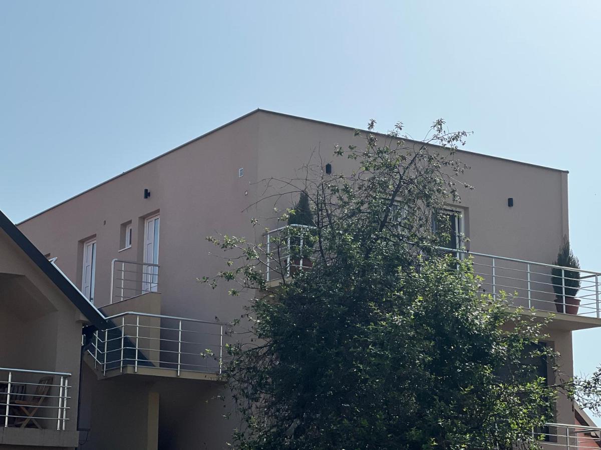 Apartman Scepanovic Nikšić Esterno foto